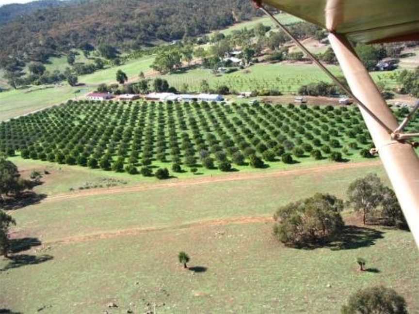 Bindoon's Windmill Farm, Bindoon, WA