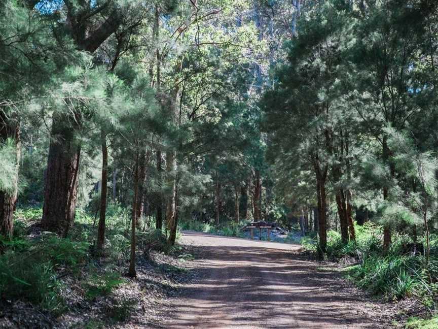 The Floating Forest, Shadforth, WA