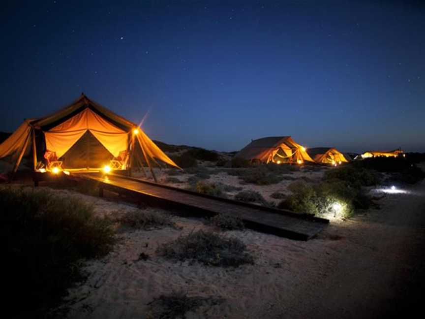 Tents at night