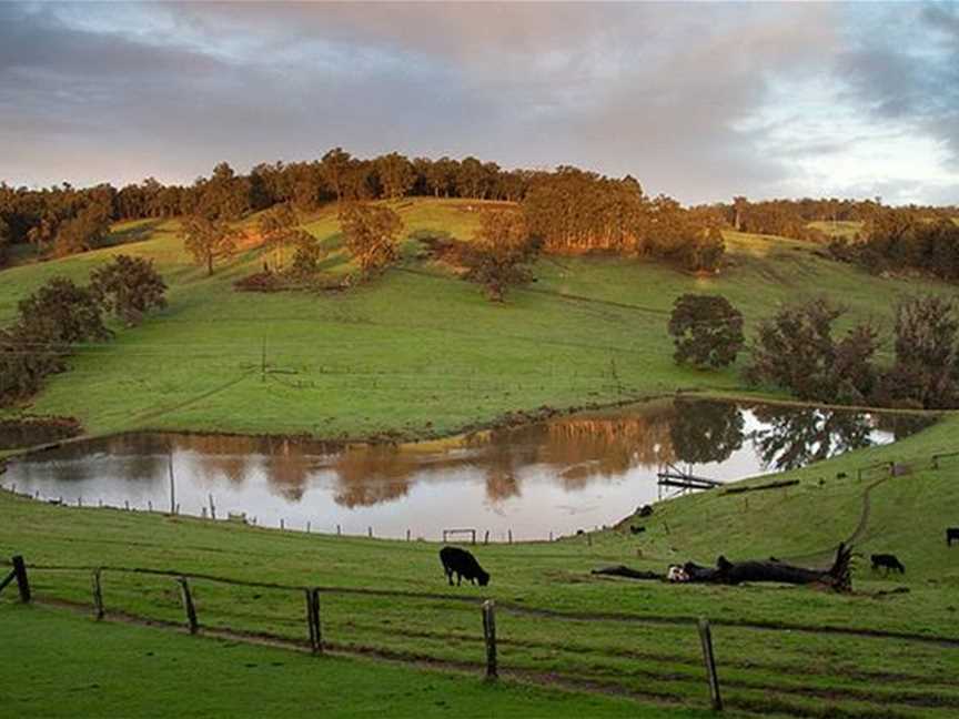 Kirup Cabins, Accommodation in Brazier