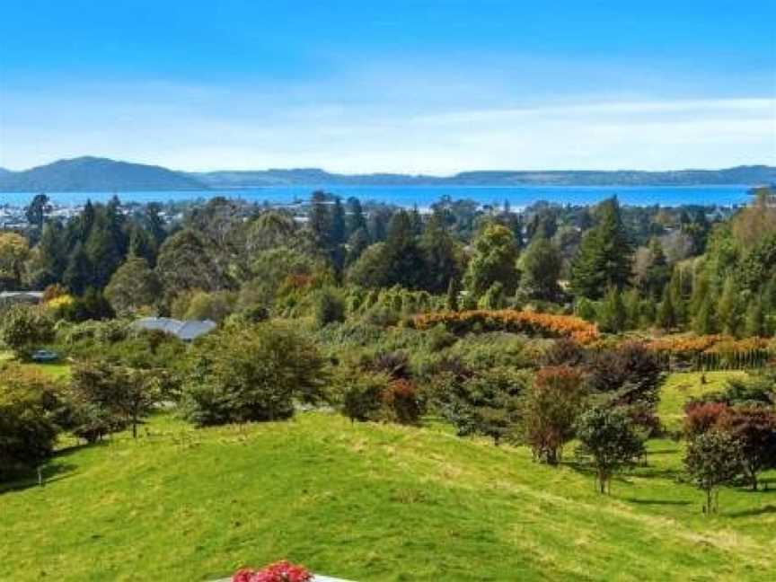 Aww Sheep-Uninterrupted Magnificent View, Rotorua, New Zealand