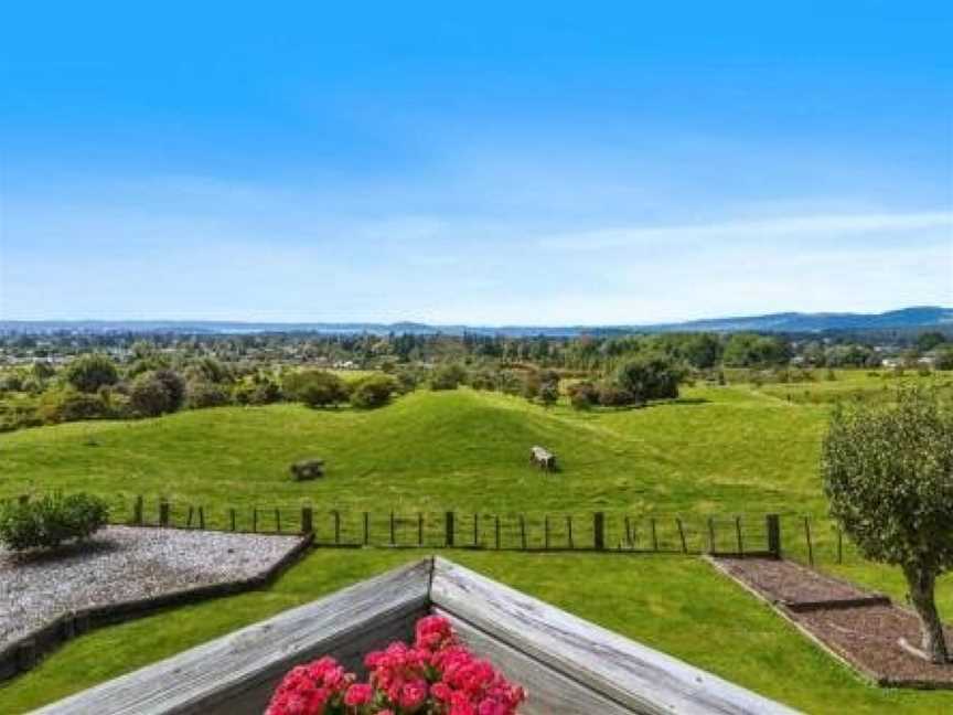 Aww Sheep-Uninterrupted Magnificent View, Rotorua, New Zealand