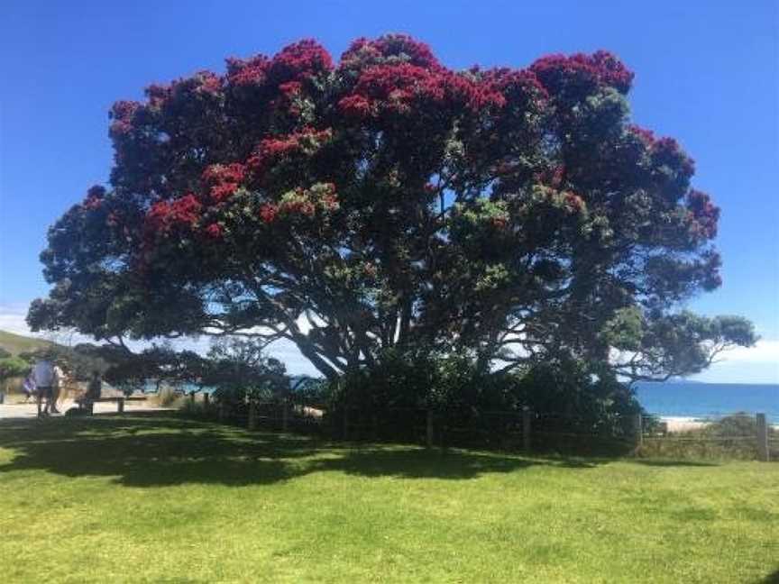 Beach Break Escape, Tauranga (Suburb), New Zealand