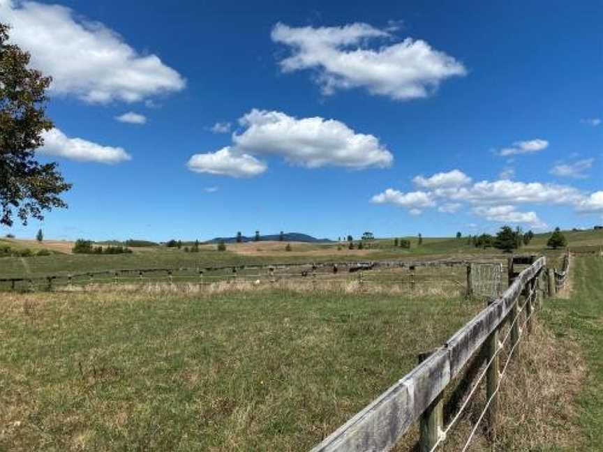 Matamata Lodge, Matamata, New Zealand