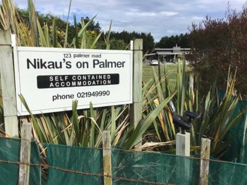 Nikaus on Palmer, Foxton Beach, New Zealand