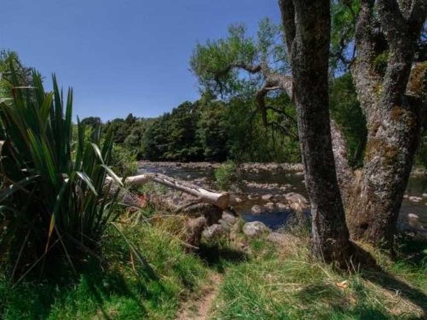 THE ECO LODGE - TSB TOPEC, Ferndale, New Zealand