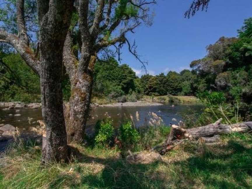 THE ECO LODGE - TSB TOPEC, Ferndale, New Zealand