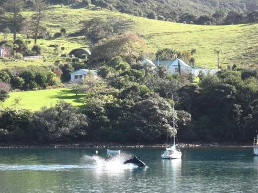 Glenfern Sanctuary, Great Barrier Island, New Zealand