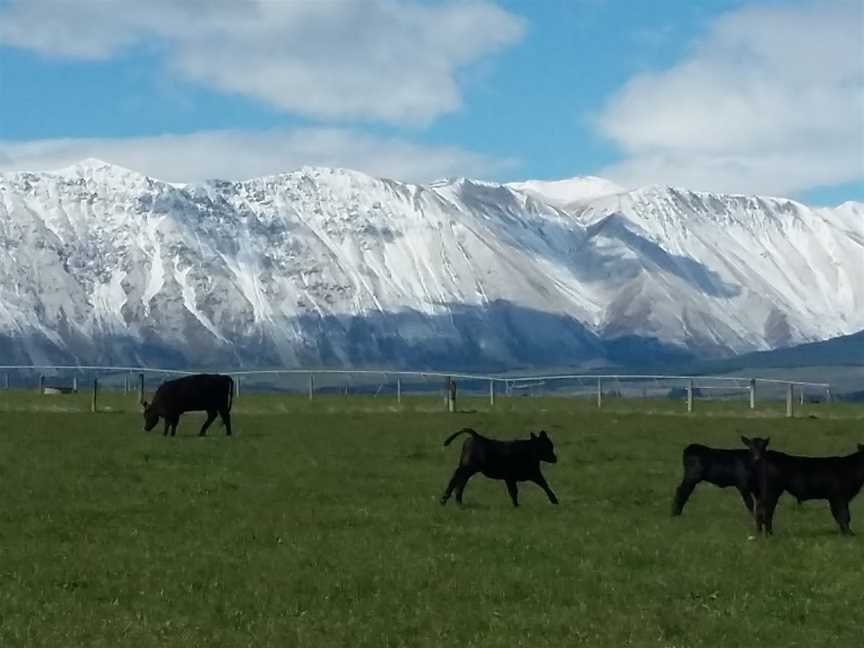 Mt Potts Lodge, Staveley, New Zealand