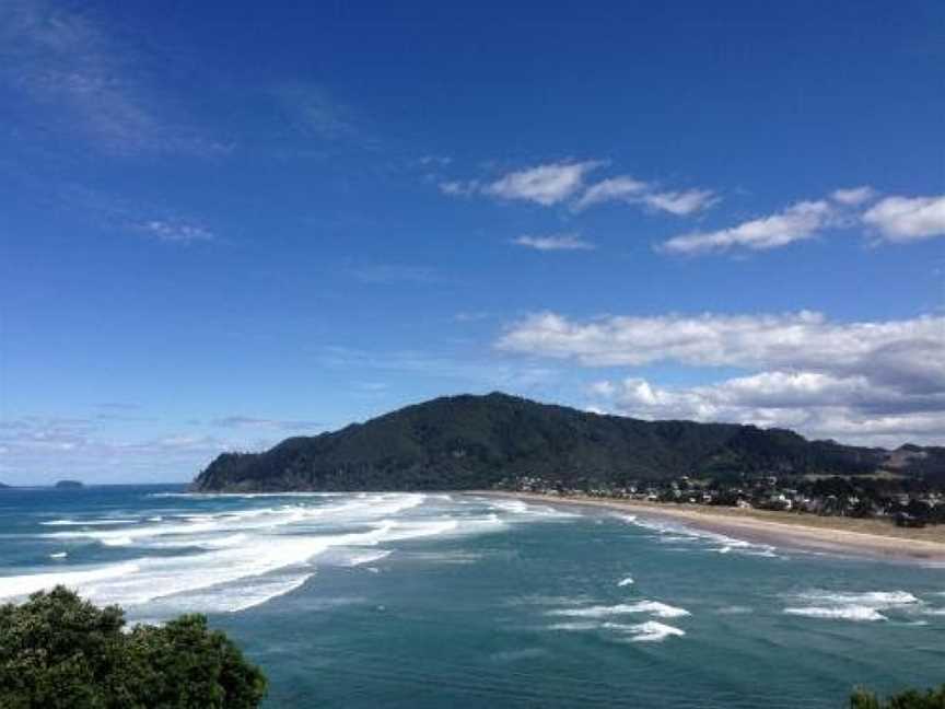 Paku Palms, Tairua, New Zealand