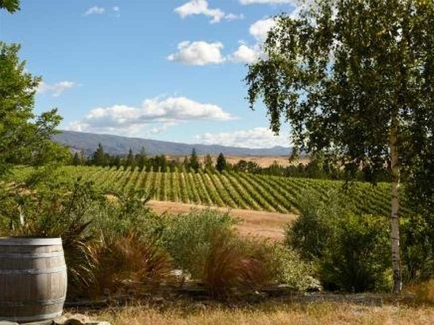 Grey Ridge Vineyard Experience, Alexandra, New Zealand