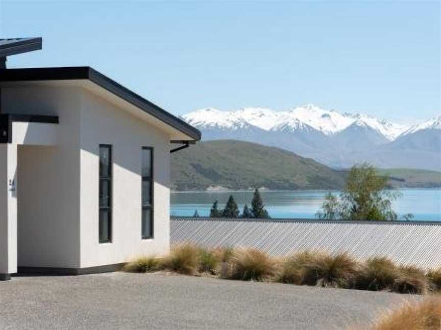 Silver Fern, Lake Tekapo, New Zealand