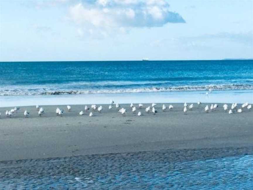 Absolute Beach, Tauranga (Suburb), New Zealand