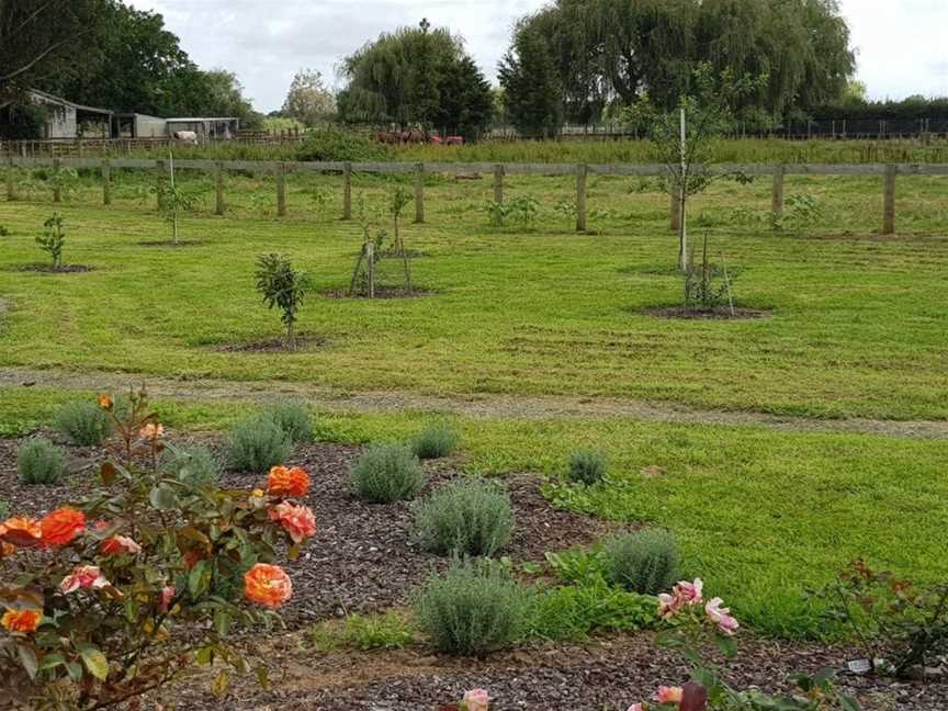 Bruntwood Lodge, Hamilton (Suburb), New Zealand