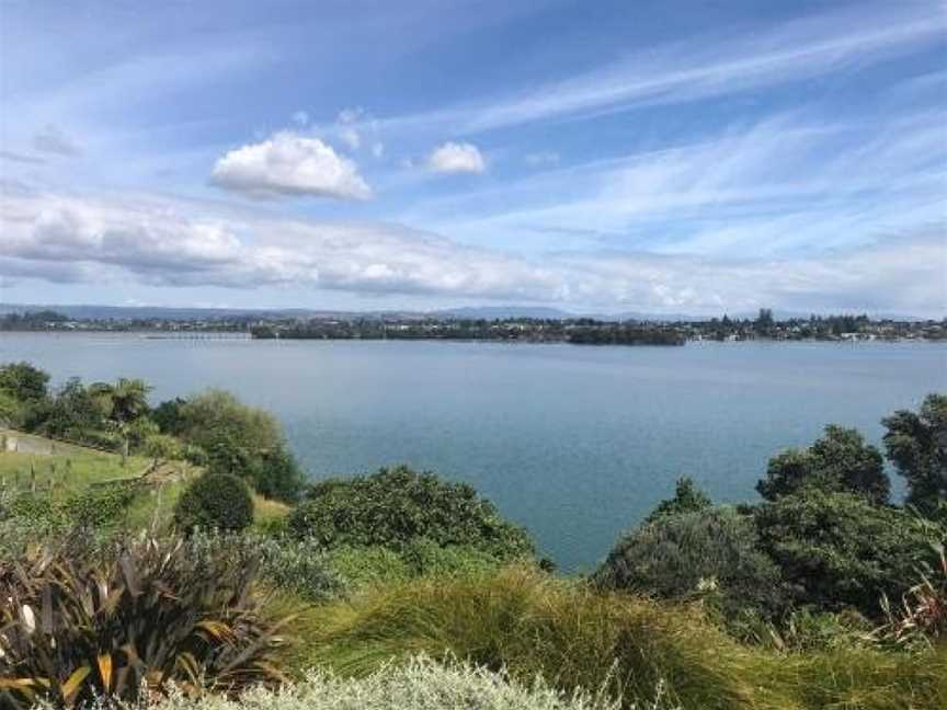 Water & City Lights Studio, Tauranga (Suburb), New Zealand