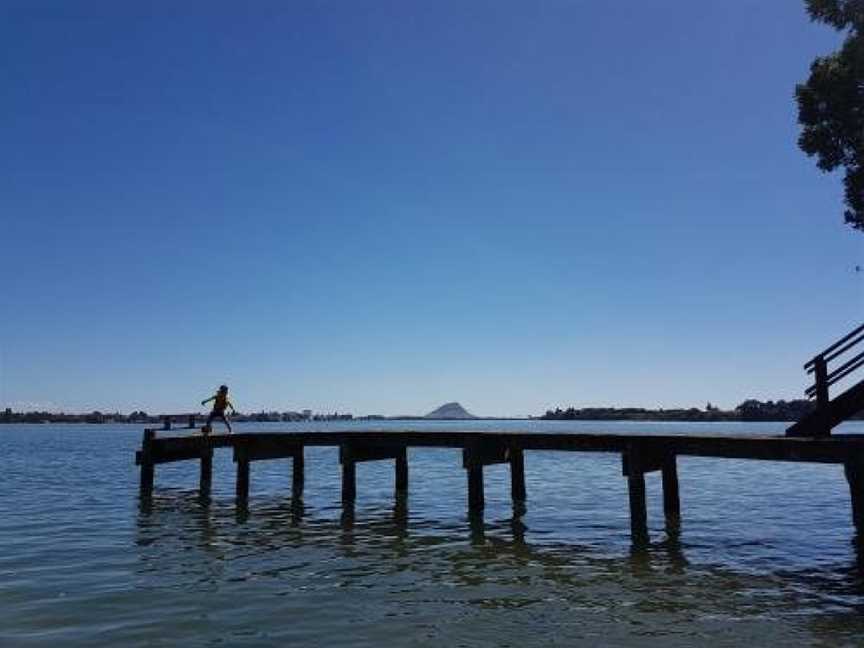 Water & City Lights Studio, Tauranga (Suburb), New Zealand