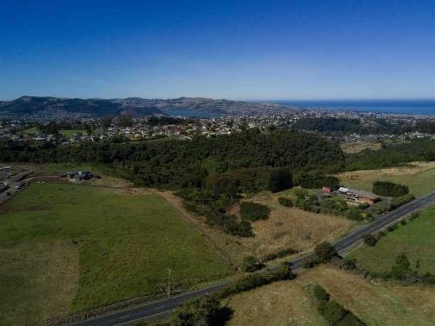 Alpaca Farmstay, Dunedin (Suburb), New Zealand