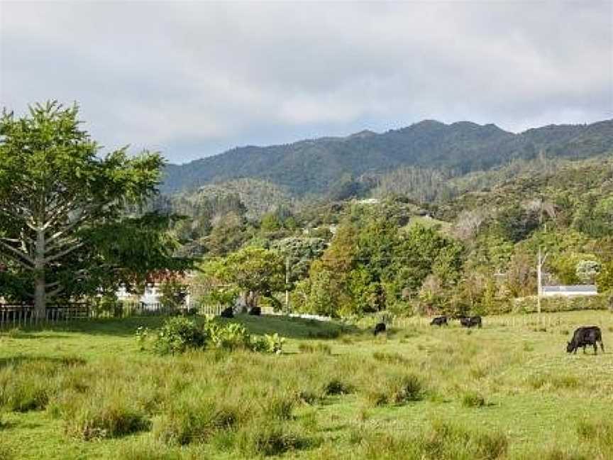 Studio 40, Coromandel, New Zealand