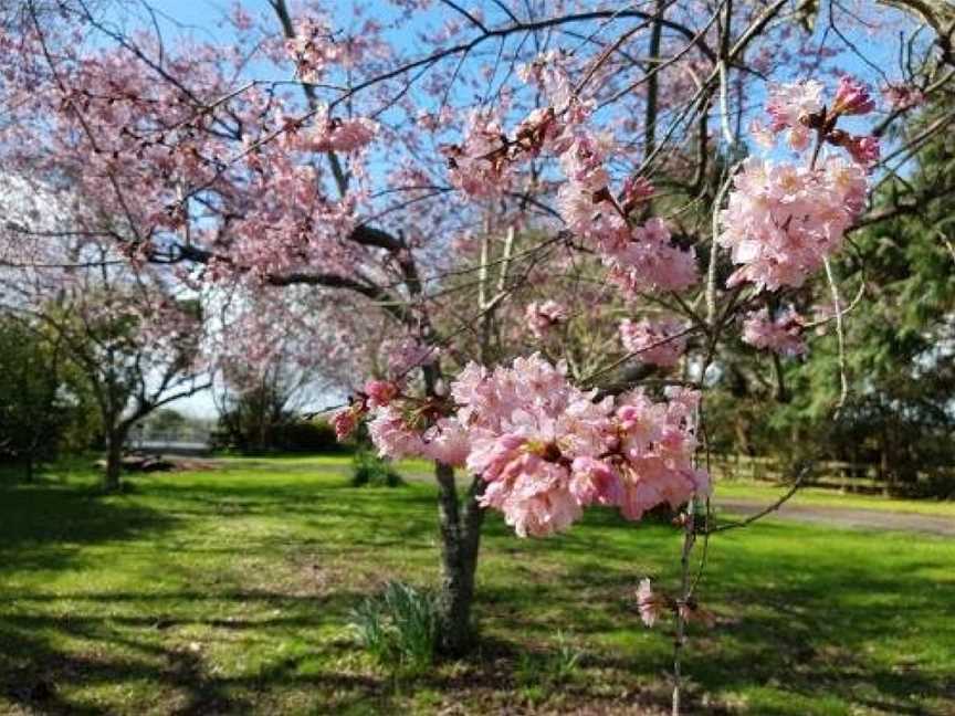 Woodbury Farm B&B, Papakura, New Zealand