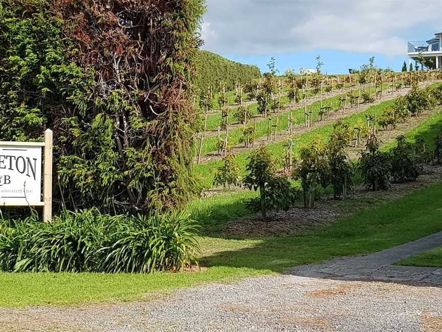 RIDGETON, Omokoroa Beach, New Zealand