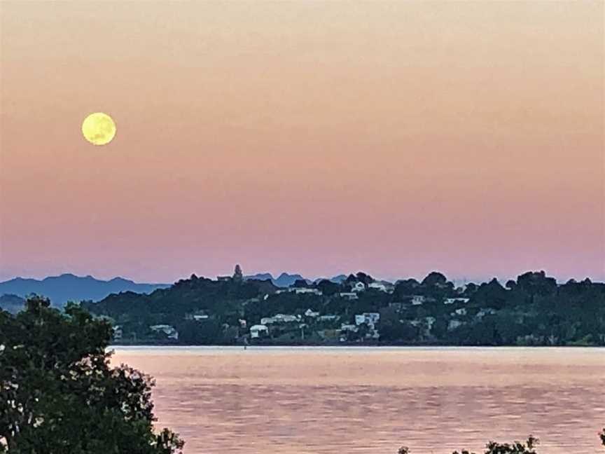 U Beauty - B & B, Morningside, New Zealand