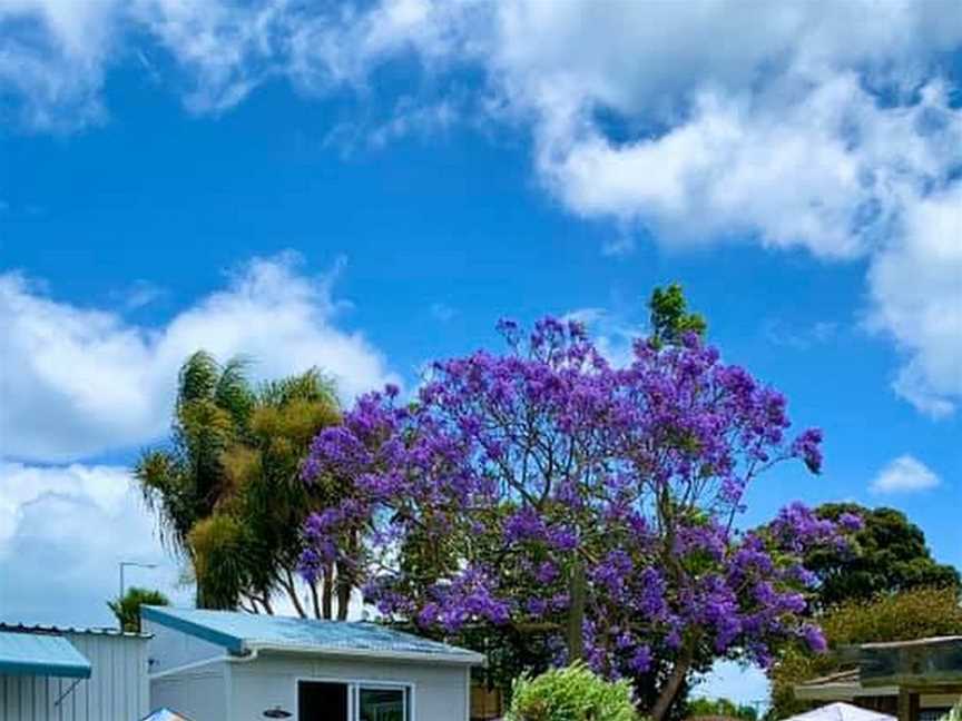 Apple Tree Backpackers, Tauranga (Suburb), New Zealand