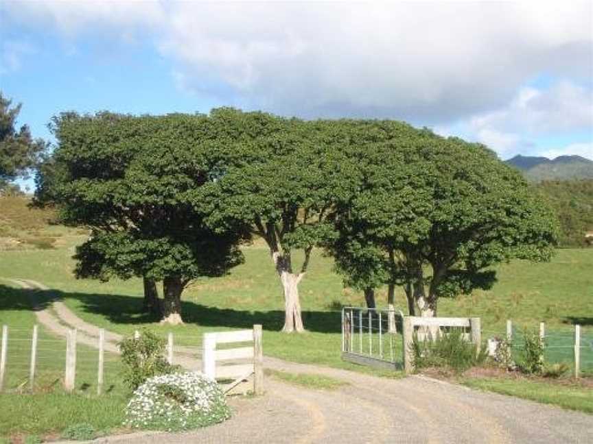 Nga Puriri Bed and Breakfast, Waihau Bay, New Zealand