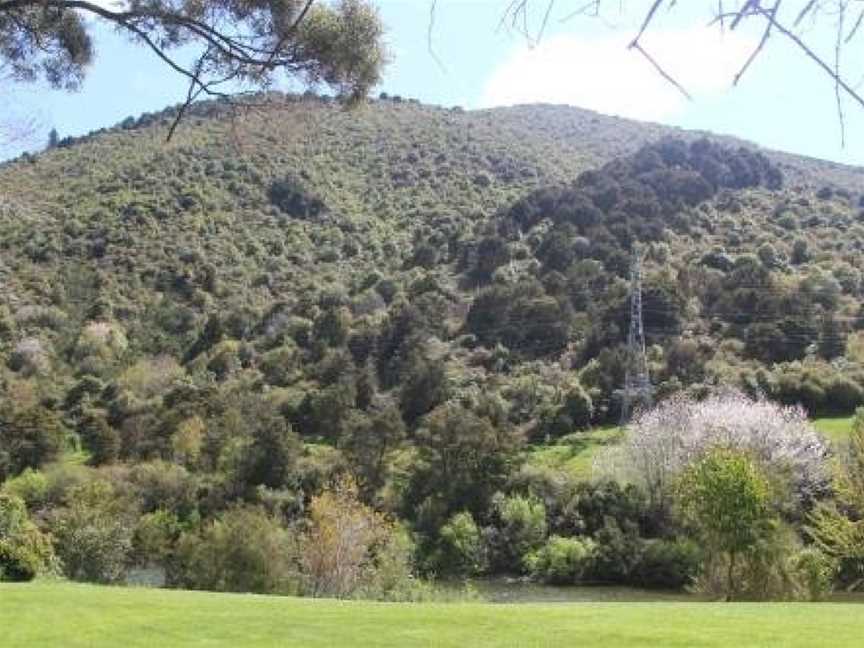 Riverbank Retreat, Rai Valley, New Zealand