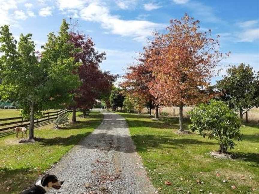 Snowball Manor, Brightwater, New Zealand