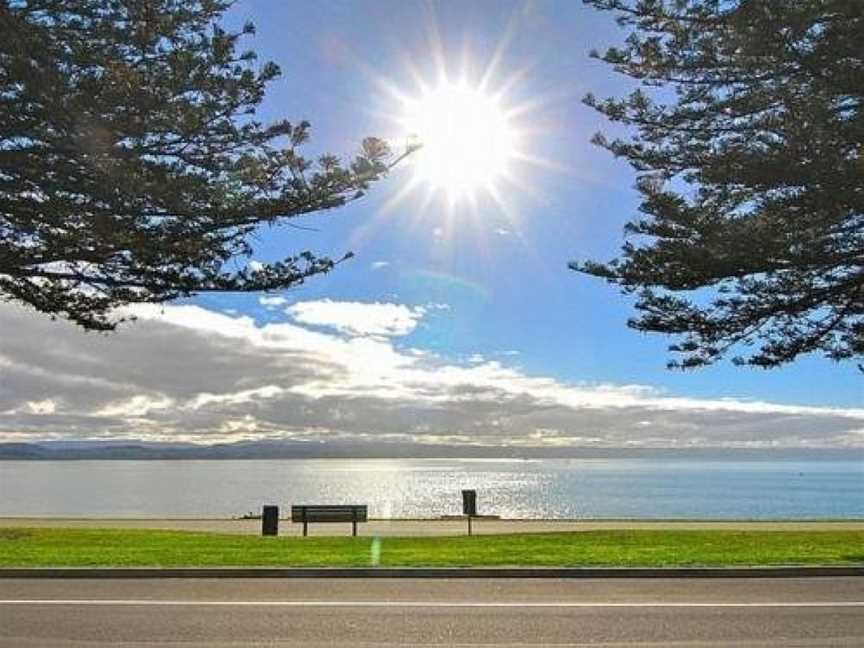 Beach House Studios, Napier, New Zealand