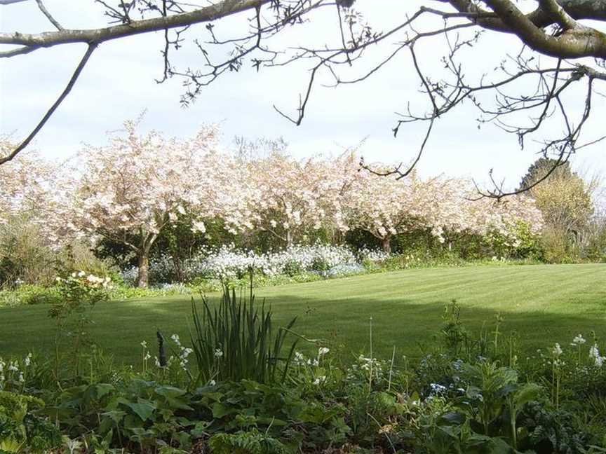 Clearwater Olive Estate, Christchurch (Suburb), New Zealand