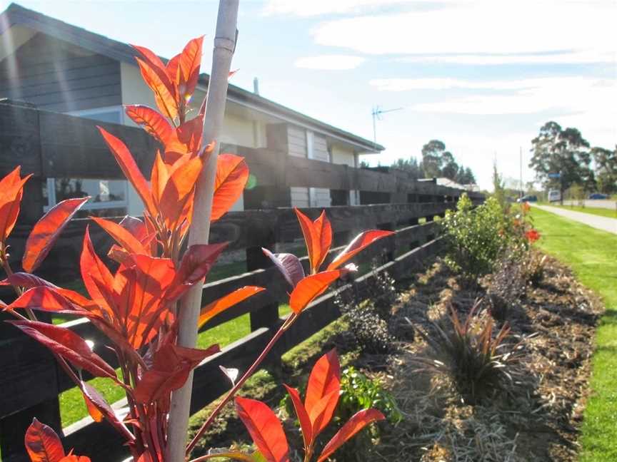 Halkett Grove Bed and Breakfast, West Melton, New Zealand