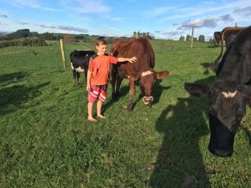 Karapiro BlackBox, Cambridge, New Zealand