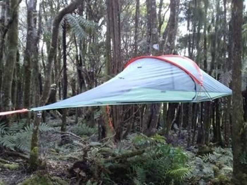 Pupu Rangi Nature Sanctuary - Conservation Area, Tutamoe, New Zealand