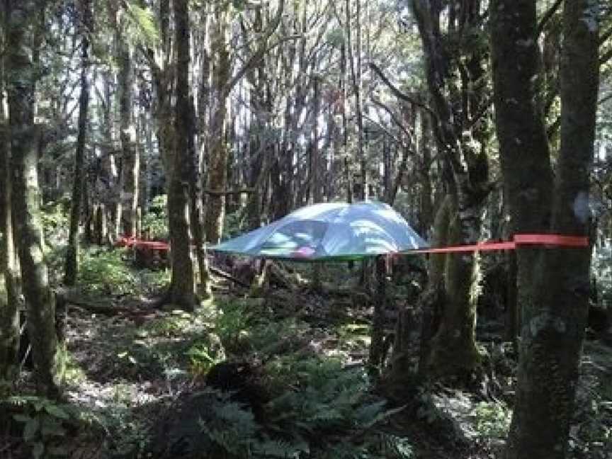 Pupu Rangi Nature Sanctuary - Conservation Area, Tutamoe, New Zealand