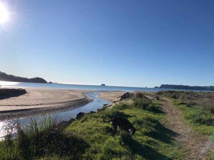 Buffalo Beach Luxury B n B, Whitianga, New Zealand