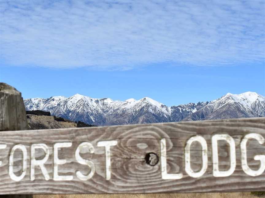 Forest Lodge, Castle Hill, New Zealand