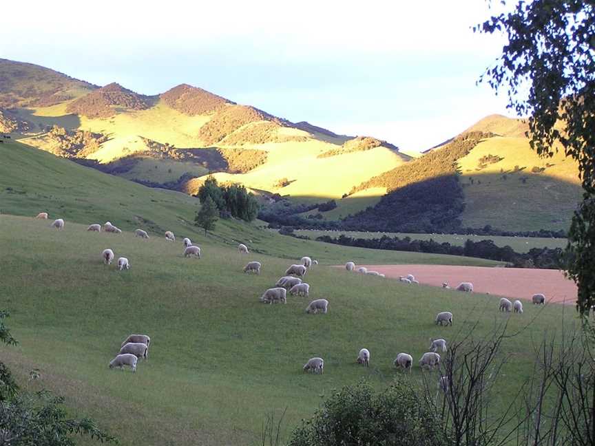 Pahau Downs, Hawarden, New Zealand