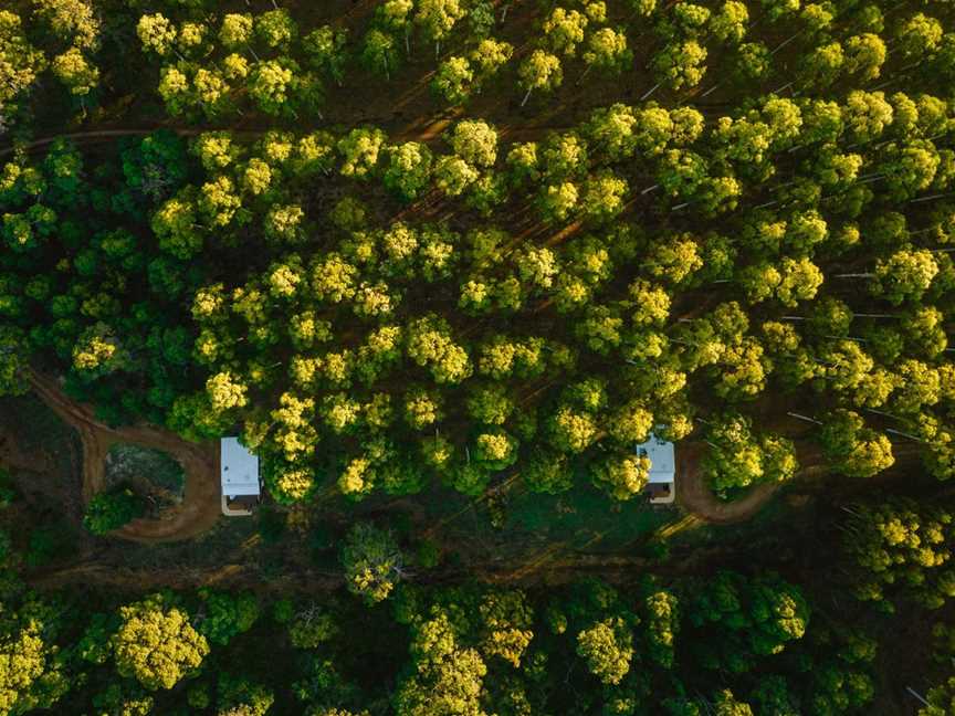 Just two chalets in the trees