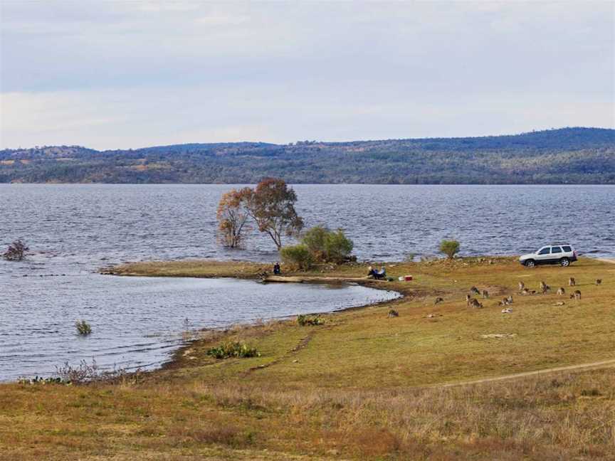 Unpowered camping at Copeton Dam