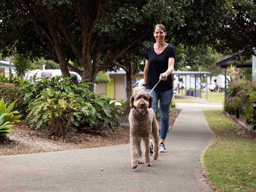 Reflections Urunga is dog-friendly