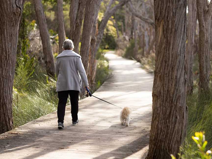 Dog walking near eden