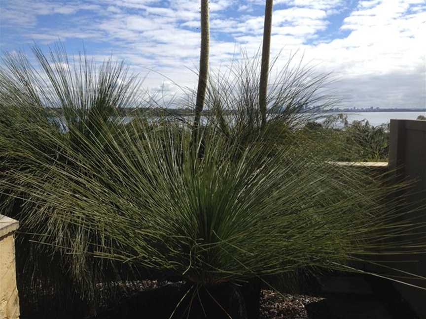 Grasstrees Australia, Architects, Builders & Designers in Wattle Grove