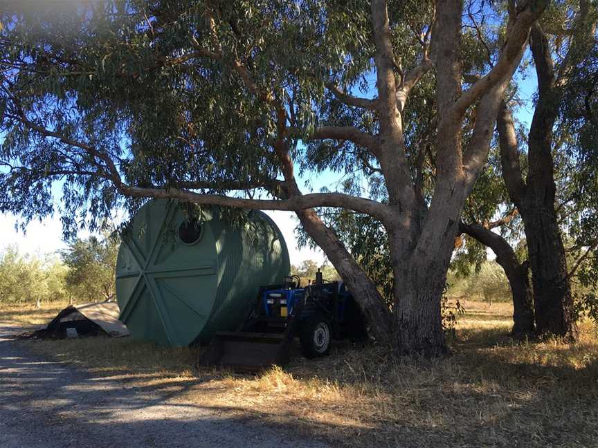 Jumanga Olive Grove, Tourist attractions in Carabooda