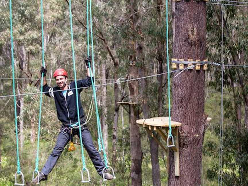 Family Adrenaline Adventure Park, Tourist attractions in Wonnerup