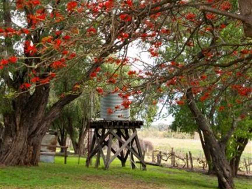 Cockman House  , Tourist attractions in Woodvale