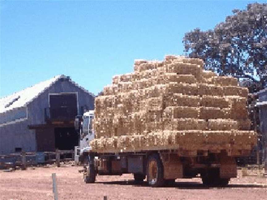 Avondale Discovery Farm Hay Bales