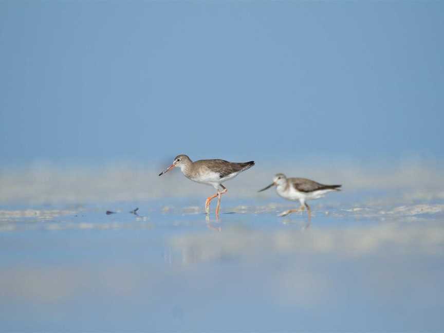 Broome Bird Observatory, Tourist attractions in Broome