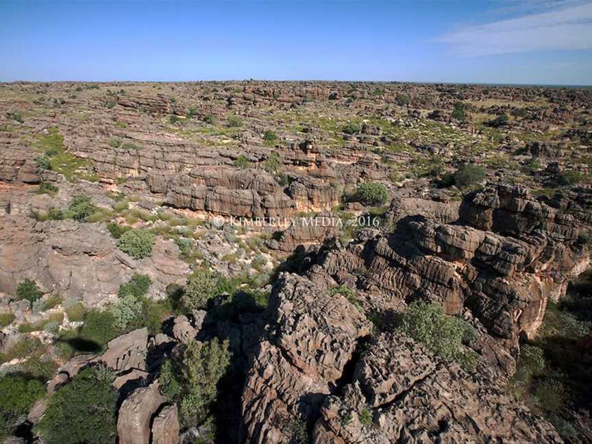 Devonian Reef, Tourist attractions in Fitzroy Crossing