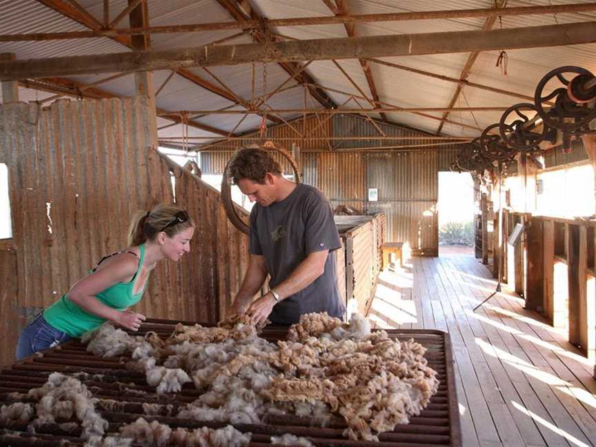 Peron Homestead, Tourist attractions in Denham